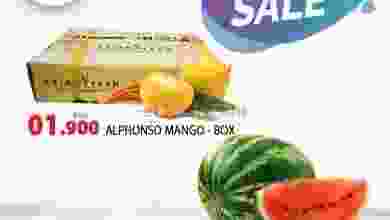 el3rod.com00001-606