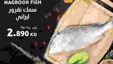 el3rod.com00001-612