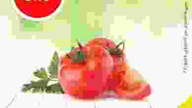 el3rod.com00001-63