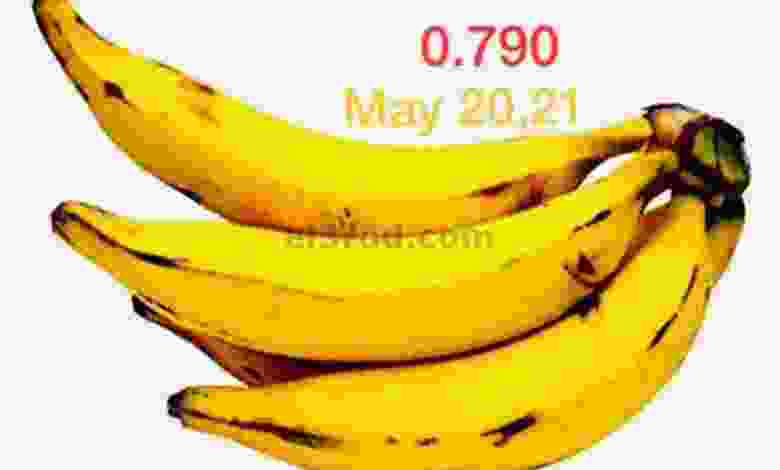 el3rod.com00001-652