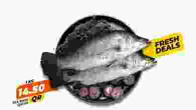 el3rod.com00001-67