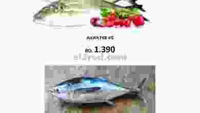 el3rod.com00001-717