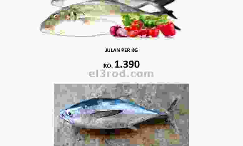 el3rod.com00001-717