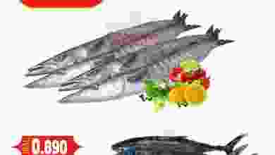 el3rod.com00001-719
