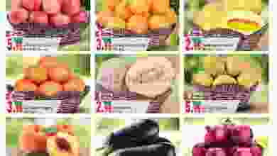el3rod.com00001-74
