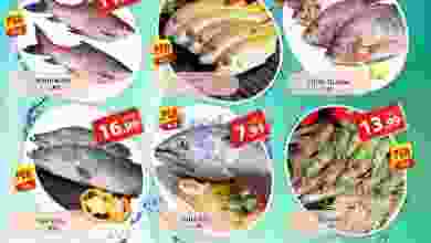 el3rod.com00001-77