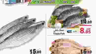 el3rod.com00001-824