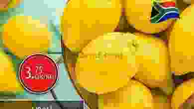 el3rod.com00001-850
