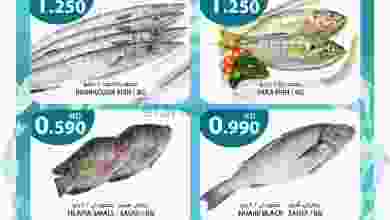 el3rod.com00001-86