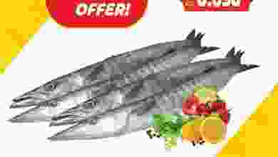 el3rod.com00001-880