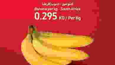 el3rod.com00001-908