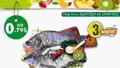 el3rod.com00001-912