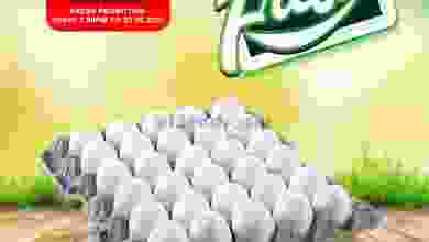 el3rod.com00002-14