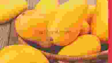 el3rod.com00003-552