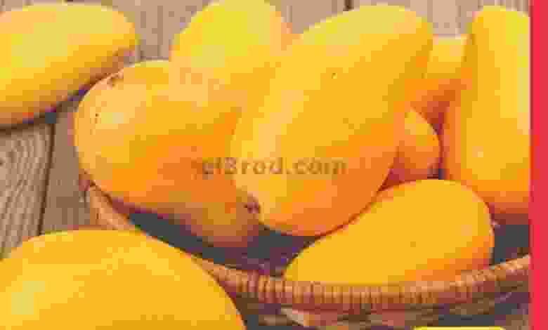 el3rod.com00003-552