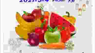 el3rod.com00003-65