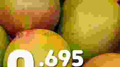 el3rod.com00004-251