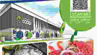el3rod.com00009-333