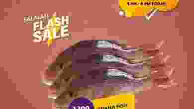 el3rod.com00010-223