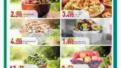 el3rod.com00001-134