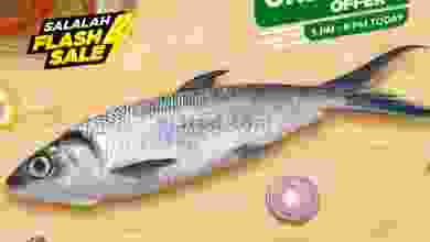 el3rod.com00001-156