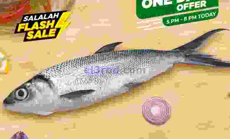 el3rod.com00001-156