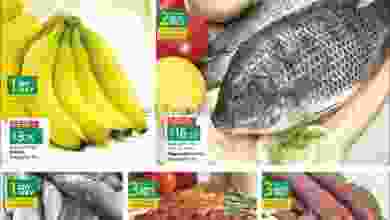 el3rod.com00001-367