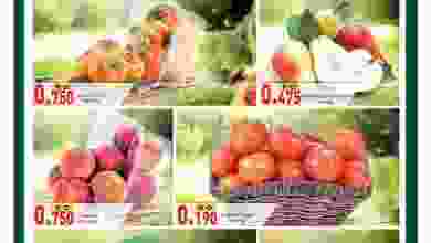 el3rod.com00001-397