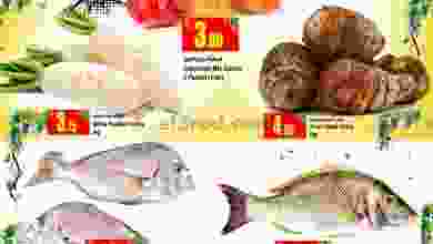 el3rod.com00001-444