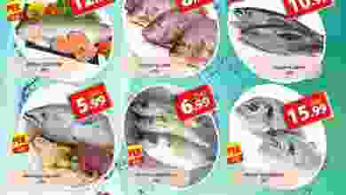 el3rod.com00001-457