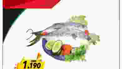 el3rod.com00001-464