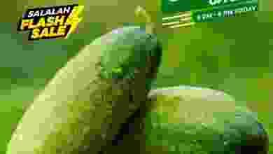 el3rod.com00001-483