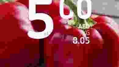 el3rod.com00001-493