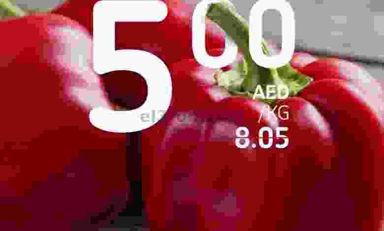 el3rod.com00001-493