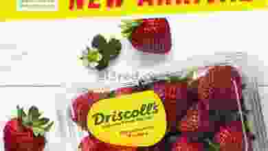 el3rod.com00001-5