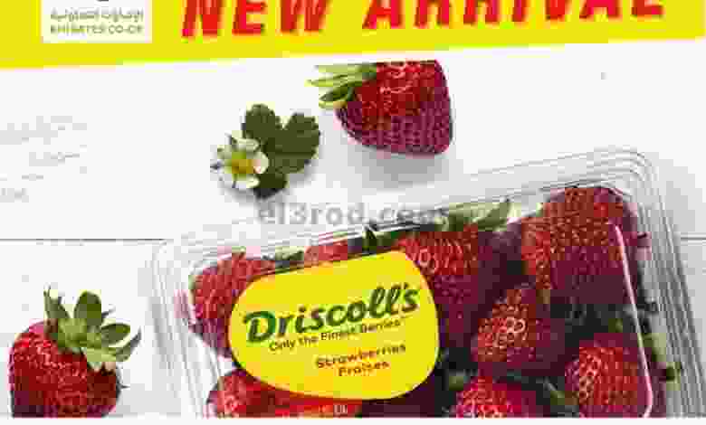 el3rod.com00001-5