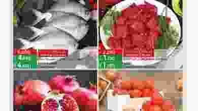 el3rod.com00001-524