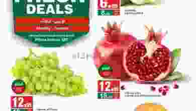 el3rod.com00001-529