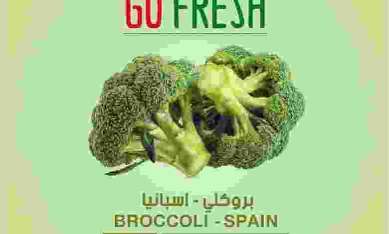 el3rod.com00001-541