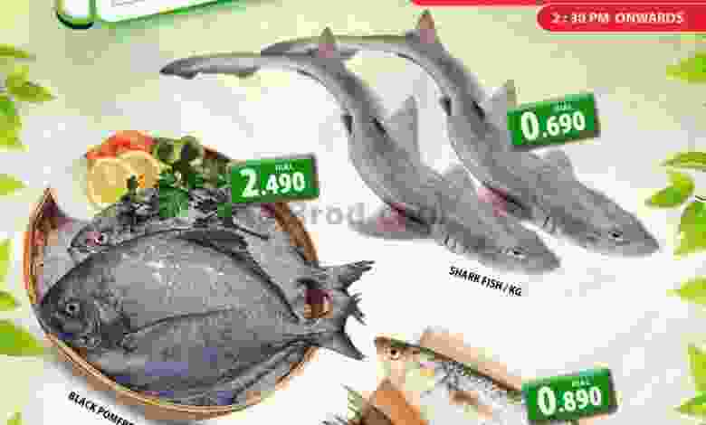 el3rod.com00001-583