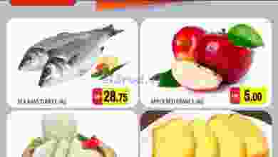 el3rod.com00001-591