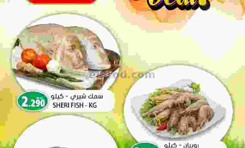 el3rod.com00002-372