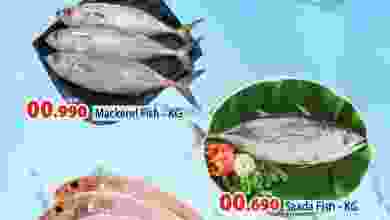 el3rod.com00003-268
