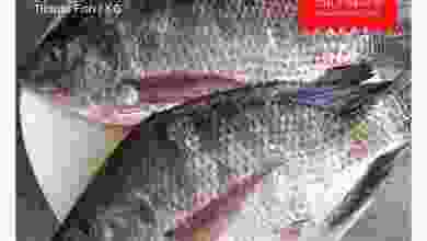 el3rod.com00004-175
