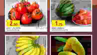 el3rod.com00008-309