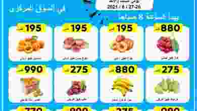 فهرس-17