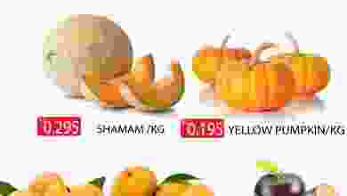 فهرس