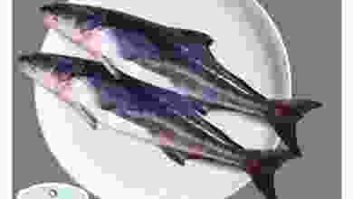 el3rod.com00001-114