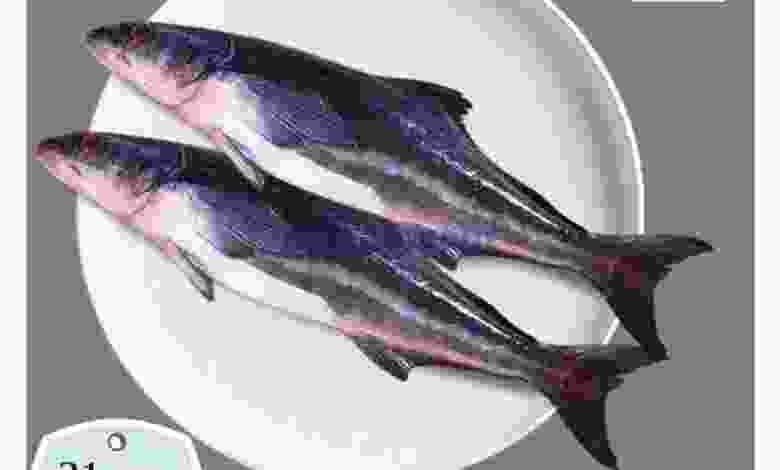 el3rod.com00001-114