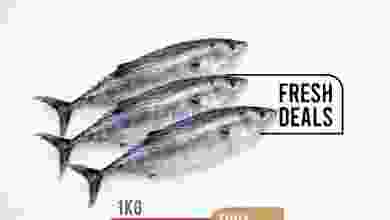 el3rod.com00001-179